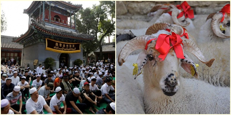 Mengintip Tradisi Unik Perayaan Idul Adha di 5 Negara. Mulai dari Pasar Malam hingga Dandani Hewan Kurban 